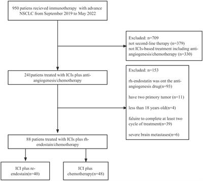 Immunotherapy combined with rh-endostatin improved clinical outcomes over immunotherapy plus chemotherapy for second-line treatment of advanced NSCLC